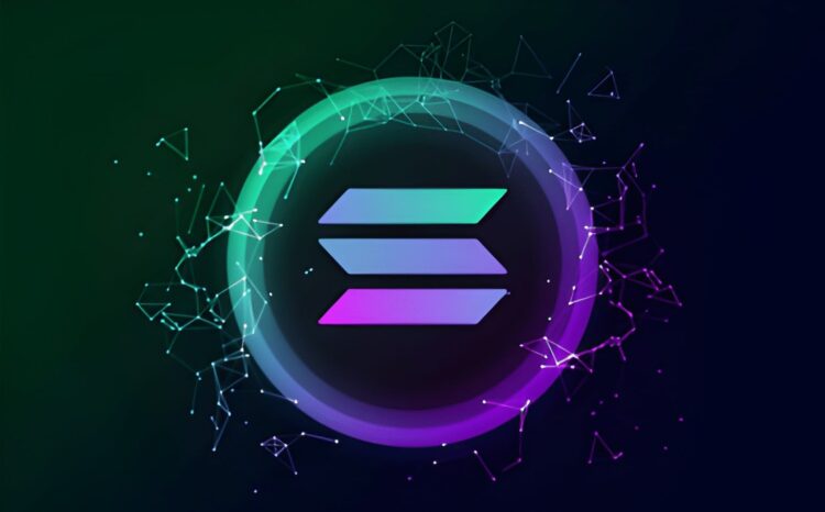 Solana: meme coins dominam o ecossistema